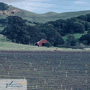 Gurpreet Dhugga Photography