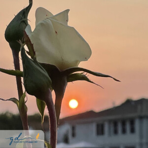 Gurpreet Dhugga Photography