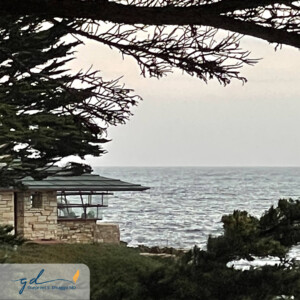 Gurpreet Dhugga Photography