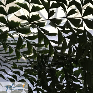 Gurpreet Dhugga Photography