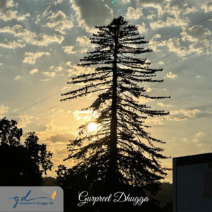 Gurpreet Dhugga Photography