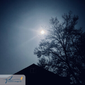 Gurpreet Dhugga Photography