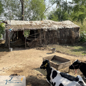 Gurpreet Dhugga Photography